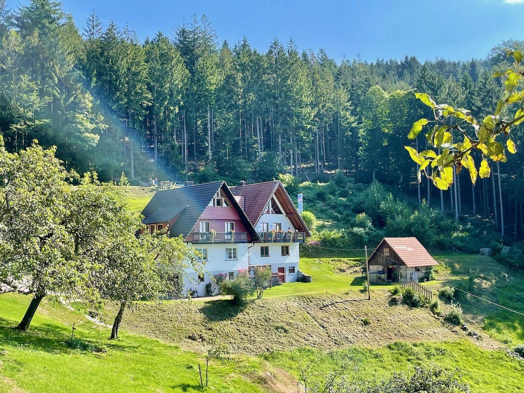 Ferienwohnung Deine Rauszeit Зеебах Екстериор снимка